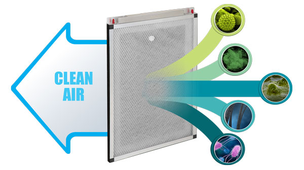 Infographic showing the minerals cause by an EnviroAire filter, resulting in only clean air moving through it.