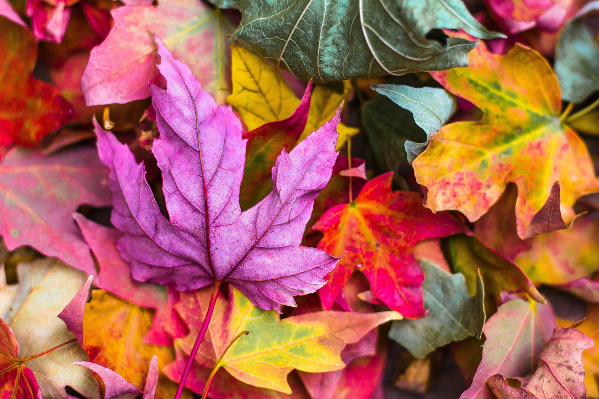 3 Fall Seasonal HVAC Tips