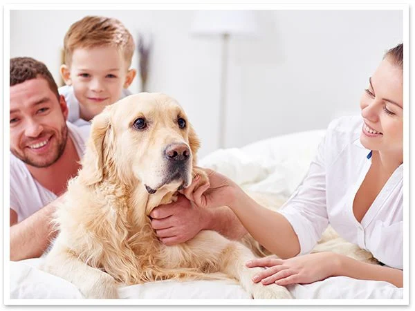 Family and golden retriever smiling together on a white bed.