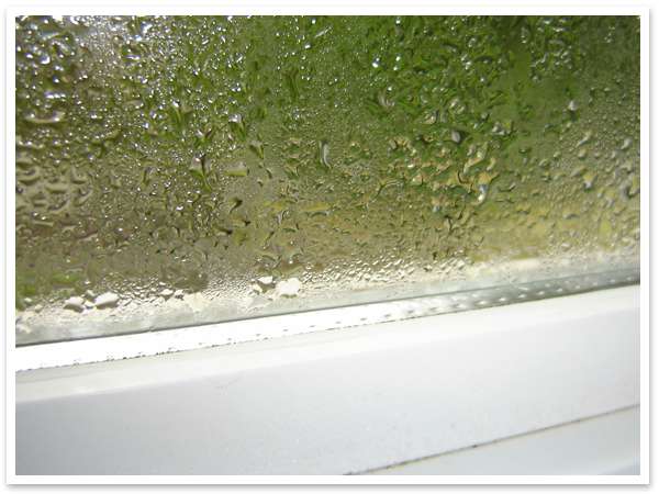 Close-up of condensation on the inside of a white window.