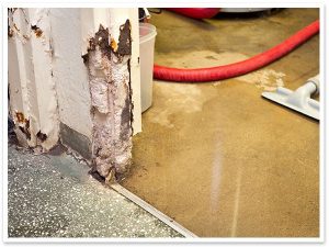 flodded-basement