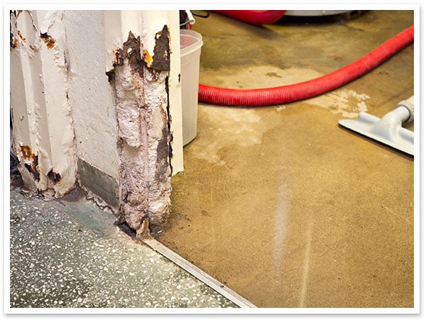 8 Quick Tips About Your Sump Pump