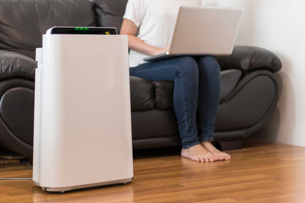 Choosing The Right Type Of UV Air Cleaner: Portable VS. Whole Home