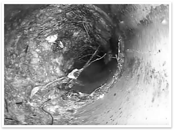 Camera image of inside of a drain pipe during inspection.